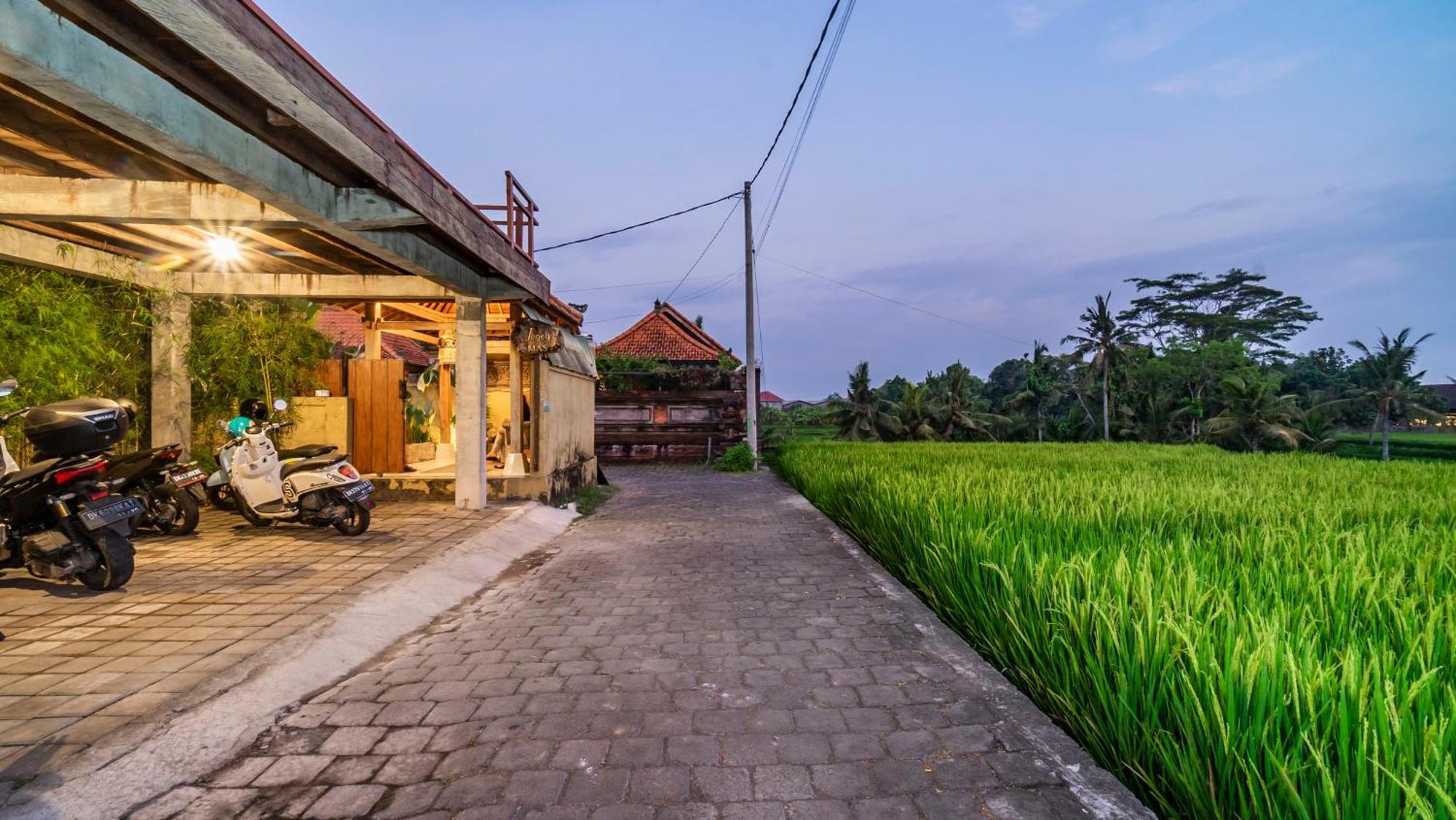 Bed and Breakfast Jegeg Mas Ubud Esterno foto