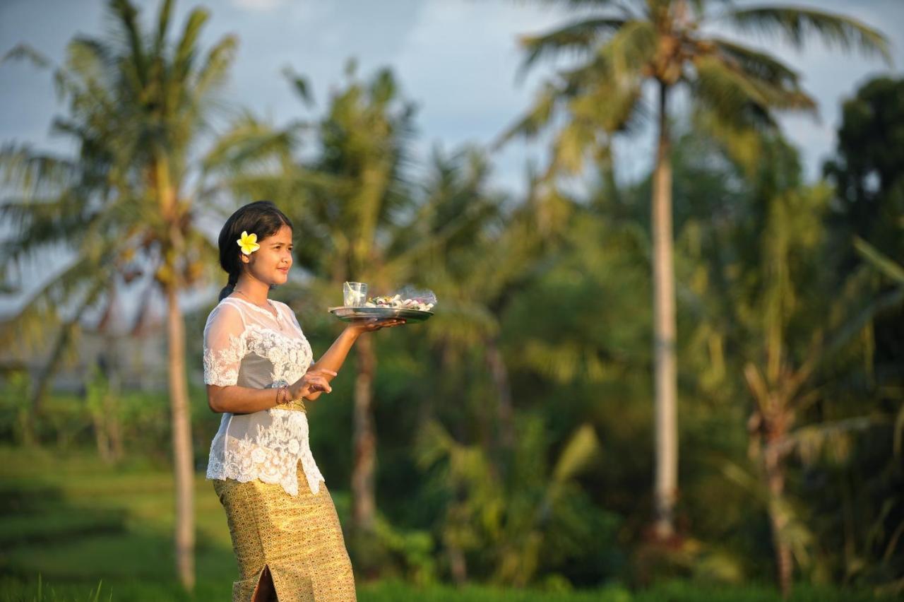 Bed and Breakfast Jegeg Mas Ubud Esterno foto